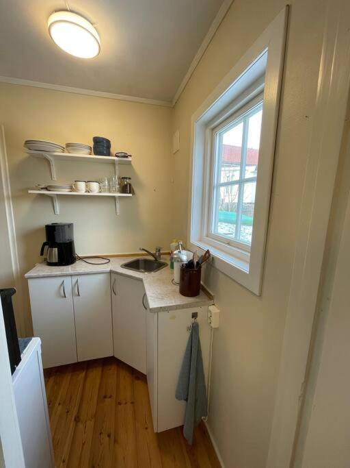 Apartament With Access To Garden, Central, Quiet And With Free Parking เฟรดริคสตา ภายนอก รูปภาพ